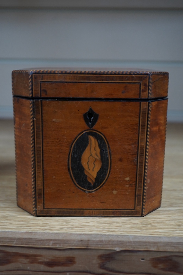 A George III Sheraton period octagonal West Indian satinwood and marquetry tea caddy, 12cm high. Condition - fair